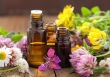 دمنوش قوی برای رفع استرس و اضطراب/ با بو کردن این رایحه نمره بیست بگیرید