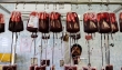 توزیع ۲ میلیون و ۴۸۸ هزار واحد خون در بیمارستان های کشور