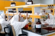 واردات داروی چینی کذب است/ ماجرای داروی بیهوشی