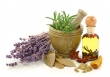 گیاهان دارویی برای کاهش وزن