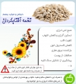 خواص تخمه آفتابگردان+ اینفوگرافیک