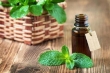فواید «پونه کوهی» را بشناسید/ تقویت انرژی و ضدباکتری