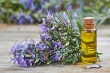 تقویت حافظه کودکان با روغن رزماری