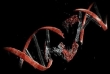کار شبانه به توانایی بدن در ترمیم DNA آسیب می رساند