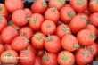 بیش از ۱۷ تن گوجه فرنگی قاچاق توقیف شد