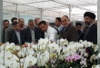 صادرات پنج کوزه گل ارکیده معادل یک بشکه نفت ارزآوری دارد