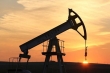 کاهش قیمت نفت با تحریم ایران ممکن نیست/کاهش تولیدونزوئلا فرصت است