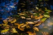 فصل پاییز از چه ساعتی آغاز می‌شود/ اعتدال پاییز از دیدگاه نجوم
