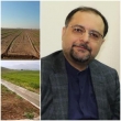 ساماندهی و ایجاد تعاونی‌های تولید روستایی در طرح نوین آبیاری دشت سیستان