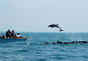 خلیج گواتر، یکی از زیباترین نقاط جنوب شرقی ایران