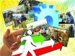 تولید محصولات کشاورزی استان تهران تا پایان سال به 6.2 میلیون تن می رسد