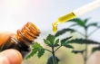 2 داروی گیاهی برای تسکین بیماران سرپایی کرونا مجوز گرفتند