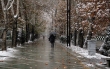 بارش باران و برف در بیشتر مناطق