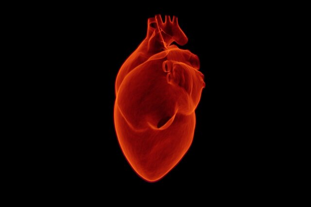 شناسایی ژن‌هایی که به حمله قلبی منجر می‌شوند