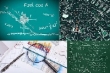 اعطای بورس تحصیلی به ۱۰۰ دانشجو از کشورهای اسلامی