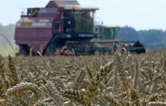 هشدار سازمان جهانی حفاظت از حیوانات نسبت به افزایش مصرف آفت‌کش‌های سرطان‌زا