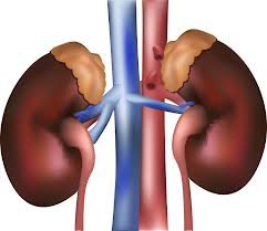 نارسایی کلیه در بیماران دیابتی چگونه درمان می‌شود؟