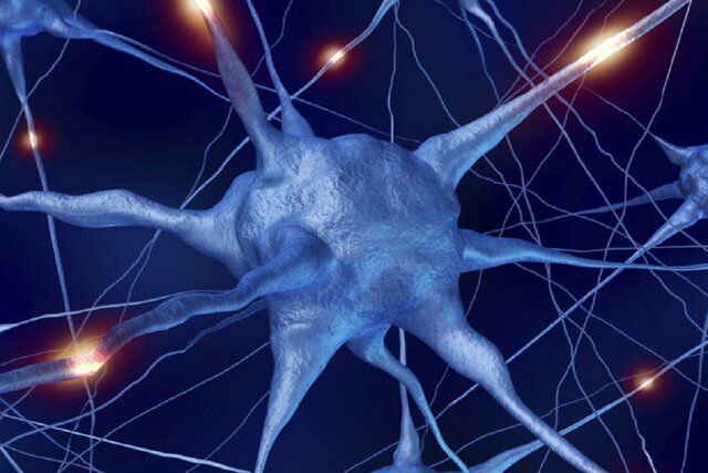 درمان موثر ام‌اس با کمک بینش جدیدی در مورد سلول‌های مغز