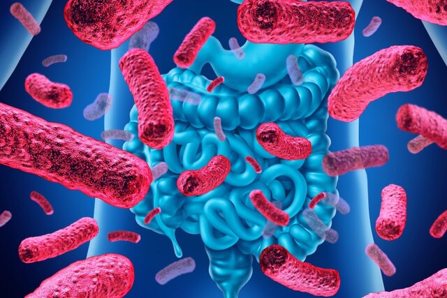 تغذیه مفید برای 