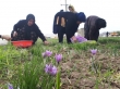 کارآفرینی زنان کرمانشاهی با دستان خالی