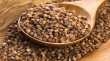 خواص گندم سیاه برای کم خونی
