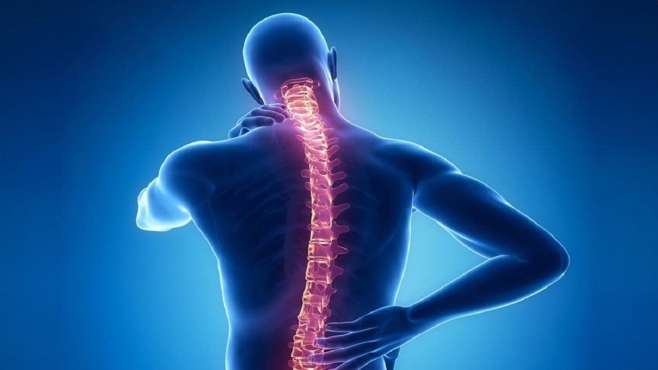 نقش حیاتی کلسیم در رشد استخوانها نقش حیاتی کلسیم در رشد استخوانها