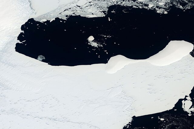 از هم گسیختن سکوهای یخی سرزمین جنوبی از نگاه ماهواره ناسا