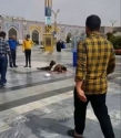 دبیرخانه شورای عالی انقلاب فرهنگی هتک حرمت به حریم قدس رضوی را محکوم کرد