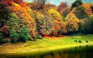 درباره دیدنی های گرگان بیشتر بدانید / بهترین زمان سفر به گرگان
