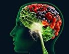 رژیم غذایی ، سدّی محافظت کننده در برابر آلزایمر