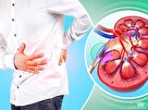 ابداع روشی برای ترمیم آسیب‌های کلیه