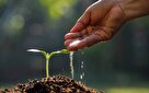 فرسایش خاک در بروجرد از مسئله تا تهدید