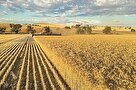 دانش‌بنیان‌هایی که خط مقدم امنیت غذایی هستند/ ۱۲۳ محصول فناورانه در صنعت غذا