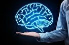 علائمی که نشان دهنده پیرشدن مغز شماست