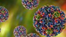 HPV ویروسی که ترسناک نیست اما تزریق واکسن آن ضروری است