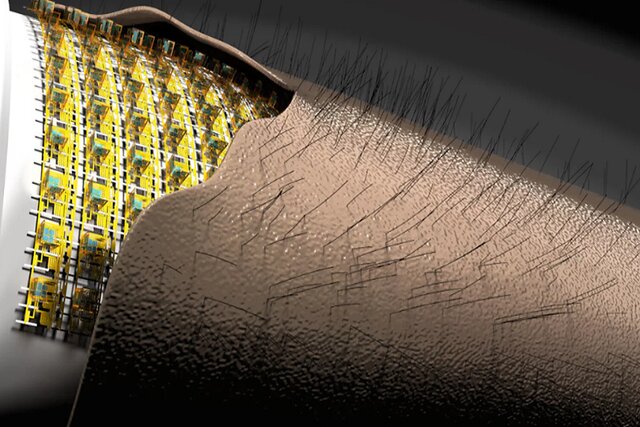 ابداع پوست الکترونیکی دارای مو که حس لامسه دارد!