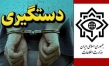 بازداشت دو فرد اروپایی سازمان دهنده آشوب و بی‌نظمی