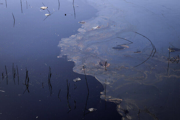 آلودگی نفتی از آب و خاک به روش میکروبیولوژی رفع می شود