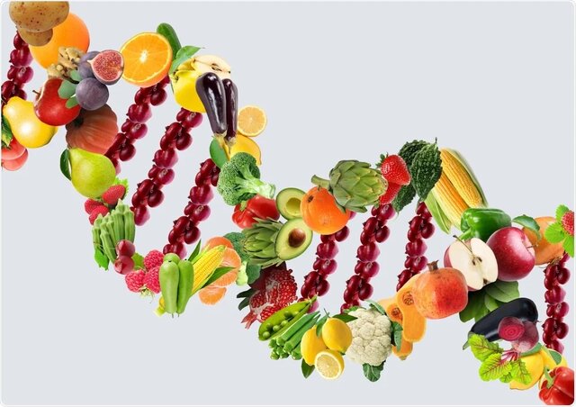 آیا ژن‌ تعیین‌کننده انتخاب مواد غذایی خاص است؟