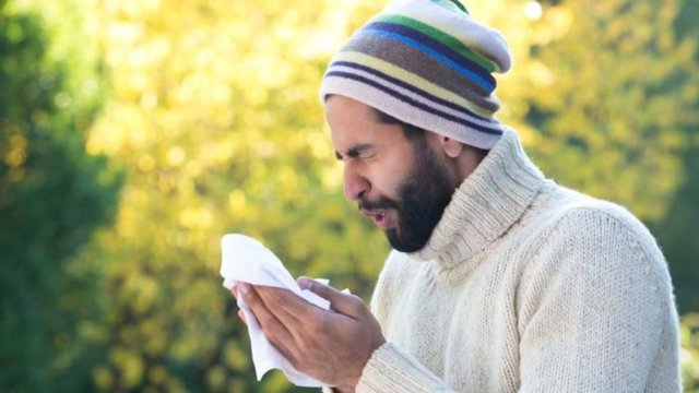 چرا آلرژی‌های فصلی هر سال شدیدتر می‌شود؟