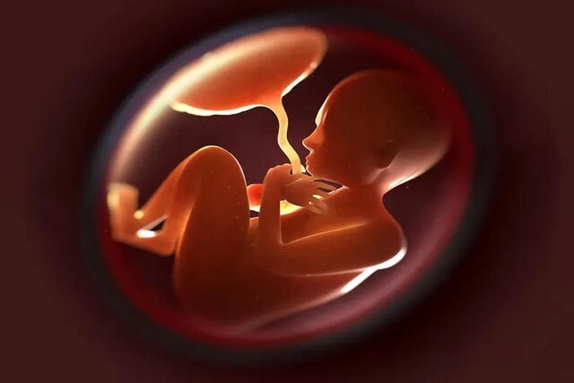 سقط جنین با تجزیه و تحلیل ژنوم پیش‌بینی می شود