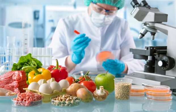 همکاری‌ها برای بهبود طراز تجاری صنعت غذا و دارو افزایش می‌یابد