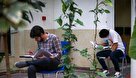 نتایج اولیه آزمون دکتری وزارت بهداشت اعلام شد