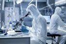 تاکید بر بازنگری اساسنامه برنامه مدیریت شبکه‌های تحقیقات سلامت