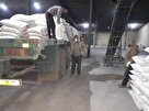 توزیع بیش از هشت هزار تن انواع کود شیمیایی