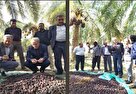 پرداخت غرامت به باغ‌های خسارت دیده جنوب کرمان با حداکثر تعهد