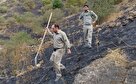 آتش‌سوزی در طبیعت، محصول سهل‌انگاری