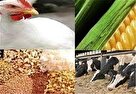 پرداخت ۸ هزار میلیارد تومان تسهیلات به دامداران و مرغداران