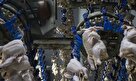 افزایش ۳۰ درصدی مصرف گوشت مرغ در کشور