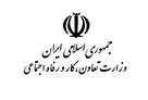 راه اندازی سامانه فروش محصولات مشاغل خانگی